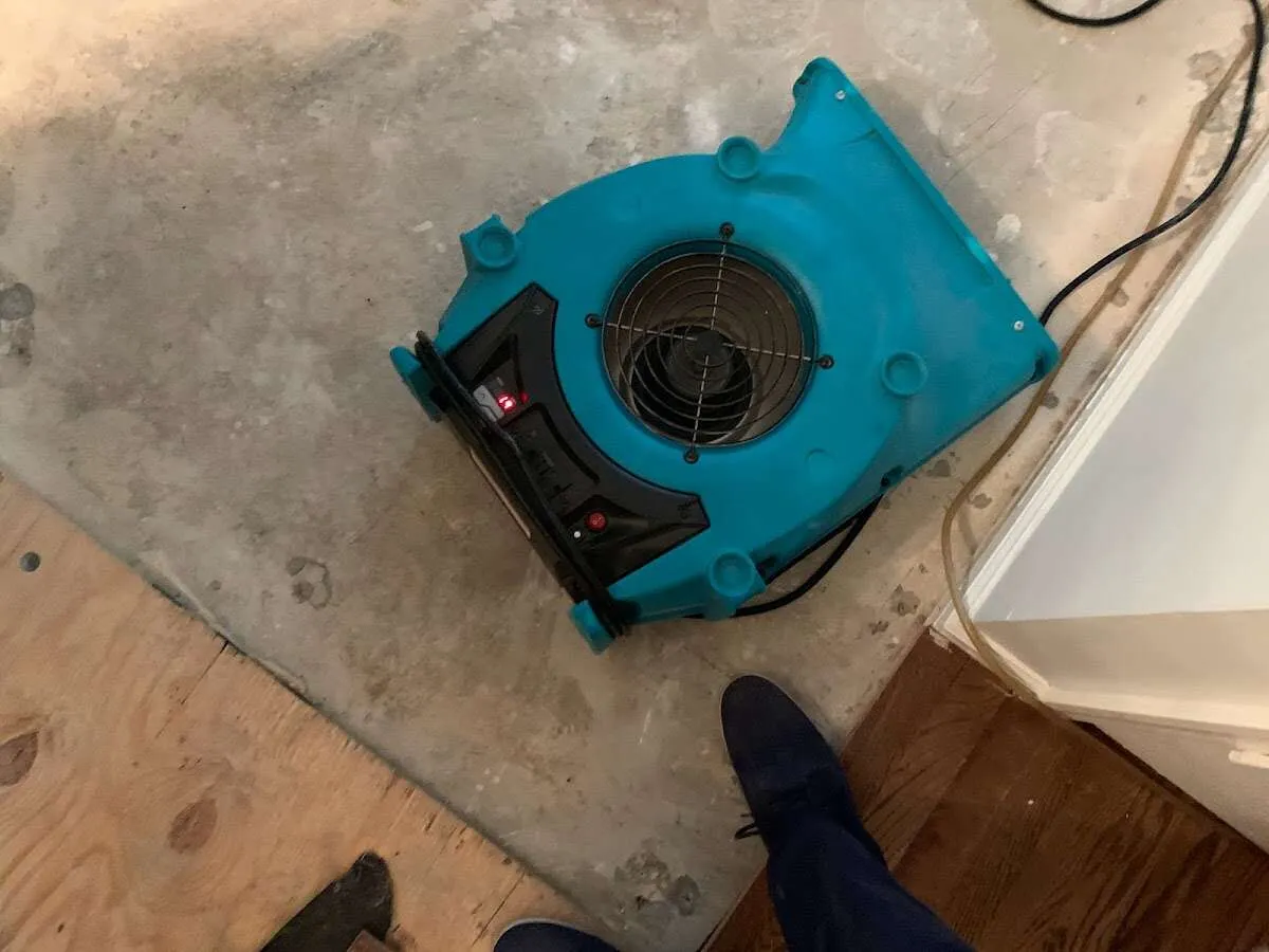 Air mover drying subfloor during Leak Detection & Repair in Cheltenham