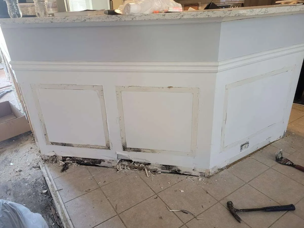 Water damage and mold on kitchen during Sewage Cleanup & Sanitation in Cheltenham